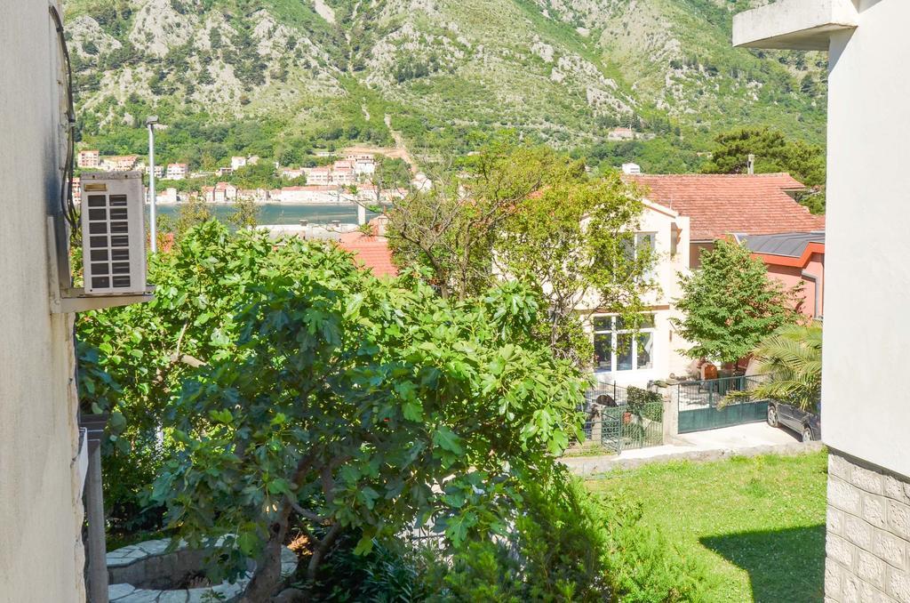 Apartments Ceklin Kotor Kültér fotó