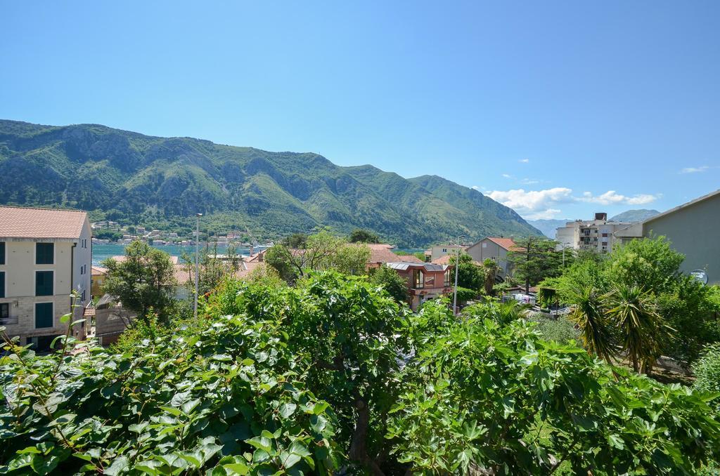 Apartments Ceklin Kotor Kültér fotó